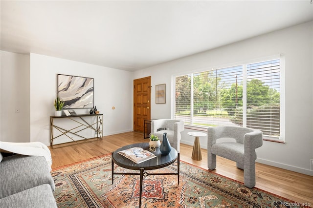 3054 S Raleigh St, Denver, CO 80236 - living area with wood finished floors and baseboards