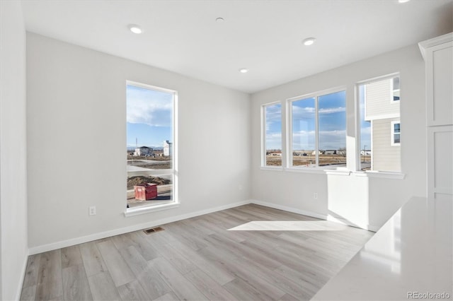 empty room featuring plenty of natural light and light hardwood / wood-style floors