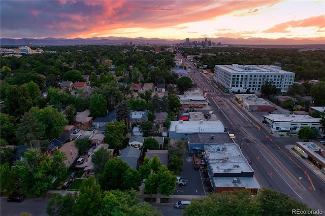 1477 Fairfax St, Denver, CO 80220 - photo 49