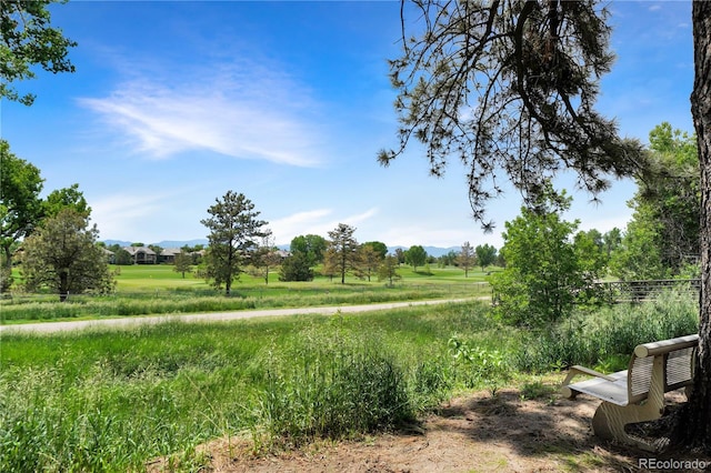 2525 S Dayton Way Unit 1510, Denver, CO 80231 - view of yard featuring a mountain view