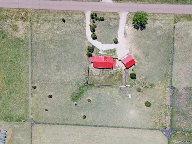 1133 Buffalo Run Rd, Calhan, CO 80808 - photo 39