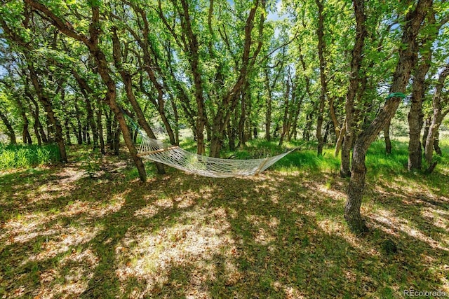 10 N Price Park, Cotopaxi, CO 81223 - view of yard