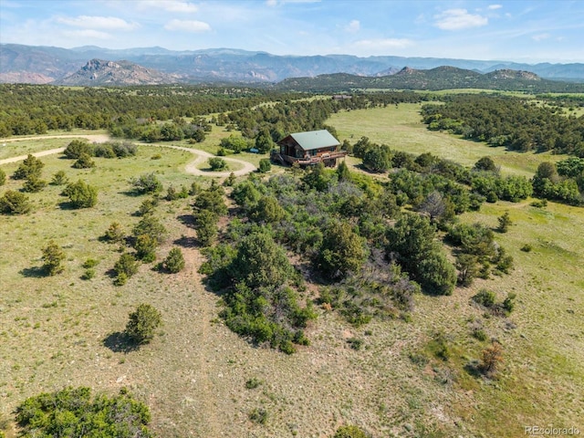 10 N Price Park, Cotopaxi, CO 81223 - overview of rural landscape with a mountainous background