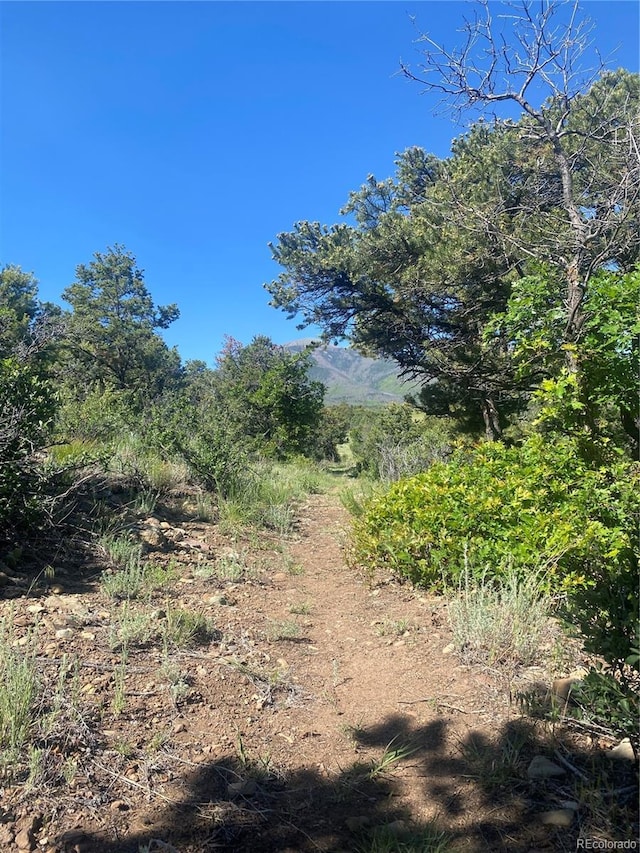 10 N Price Park, Cotopaxi, CO 81223 - view of undeveloped land