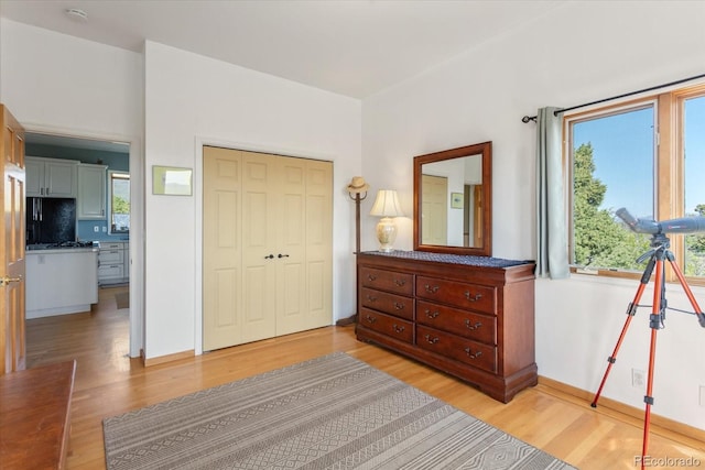10 N Price Park, Cotopaxi, CO 81223 - bedroom featuring light wood finished floors, multiple windows, and a closet