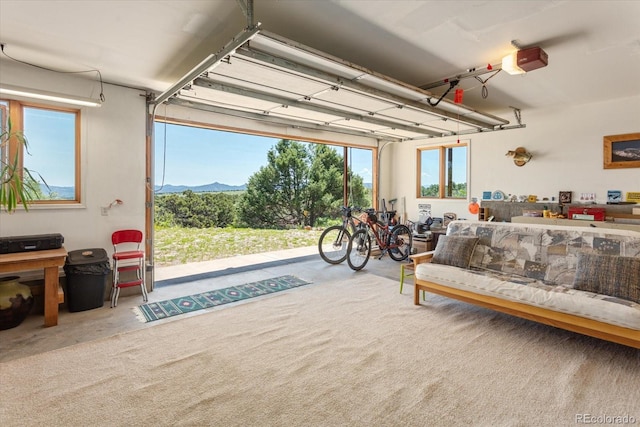 10 N Price Park, Cotopaxi, CO 81223 - garage with a garage door opener and a mountain view