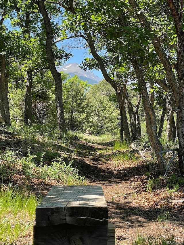 10 N Price Park, Cotopaxi, CO 81223 - view of yard