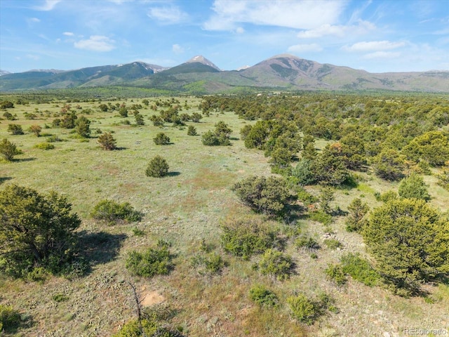 10 N Price Park, Cotopaxi, CO 81223 - mountain view