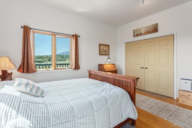 10 N Price Park, Cotopaxi, CO 81223 - bedroom featuring wood finished floors and a closet