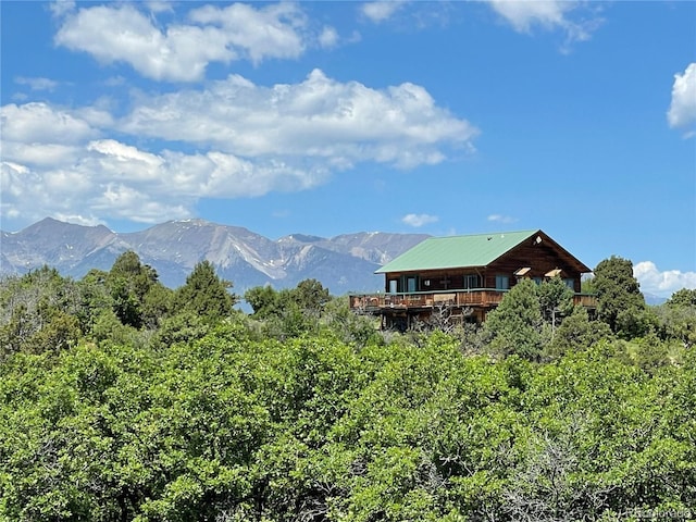 10 N Price Park, Cotopaxi, CO 81223 - mountain view
