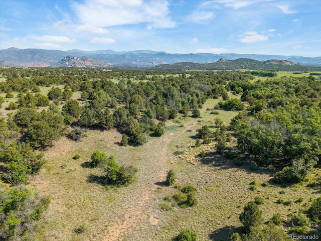 10 N Price Park, Cotopaxi, CO 81223 - view of mountain background