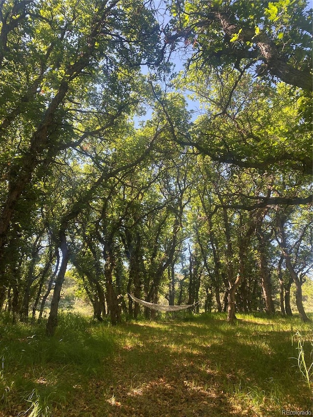 10 N Price Park, Cotopaxi, CO 81223 - view of local wilderness