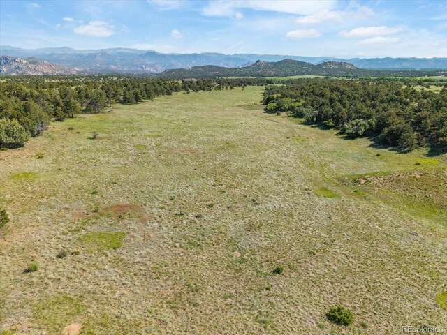 10 N Price Park, Cotopaxi, CO 81223 - drone / aerial view of mountains