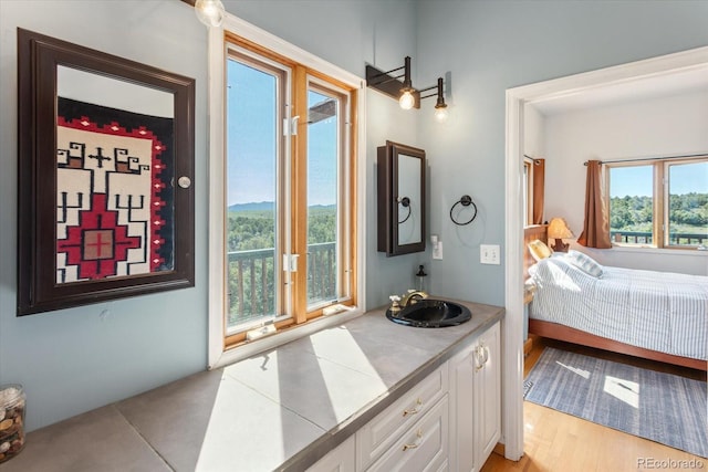 10 N Price Park, Cotopaxi, CO 81223 - bedroom with a sink
