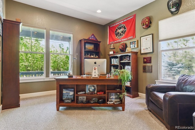 5463 Killen Ave, Castle Rock, CO 80104 - carpeted office space featuring baseboards