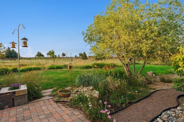 5463 Killen Ave, Castle Rock, CO 80104 - view of grassy yard