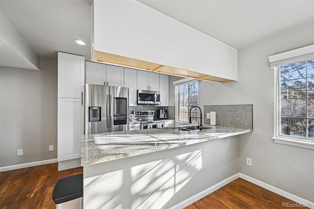 kitchen with stainless steel appliances, dark wood finished floors, a sink, and tasteful backsplash