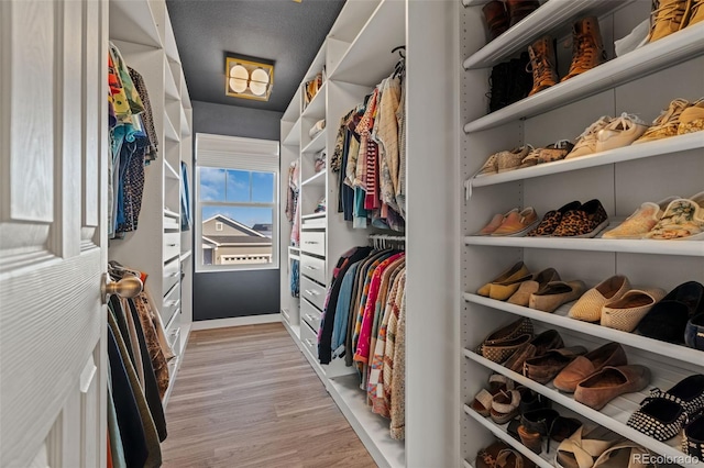 spacious closet featuring light wood-style floors