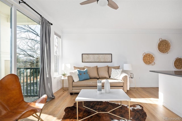 living room with crown molding, ceiling fan, and light hardwood / wood-style floors