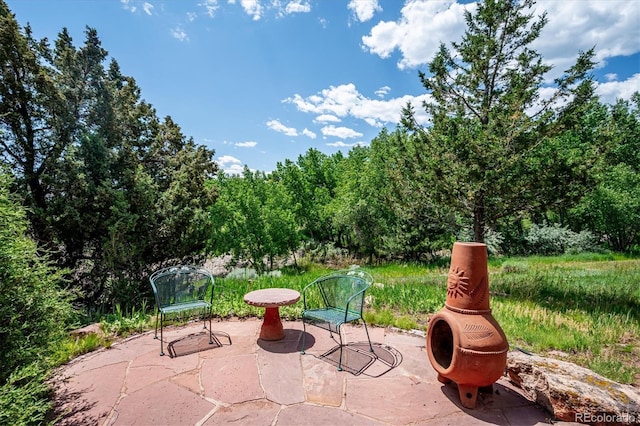 16134 Sandstone Dr, Morrison, CO 80465 - view of patio