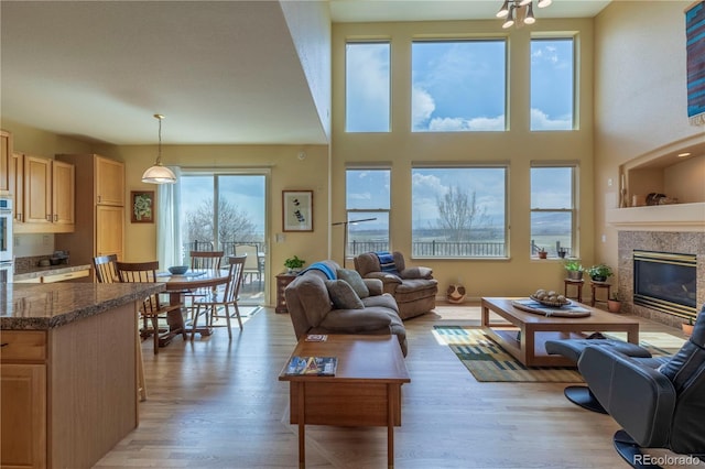 9586 W Victoria Dr, Littleton, CO 80128 - living room featuring light wood-style floors and a high end fireplace