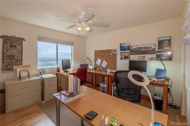 9586 W Victoria Dr, Littleton, CO 80128 - office area featuring light wood finished floors and ceiling fan