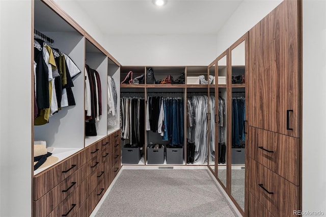 spacious closet with light carpet