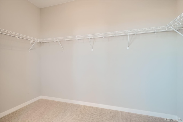 walk in closet featuring carpet floors