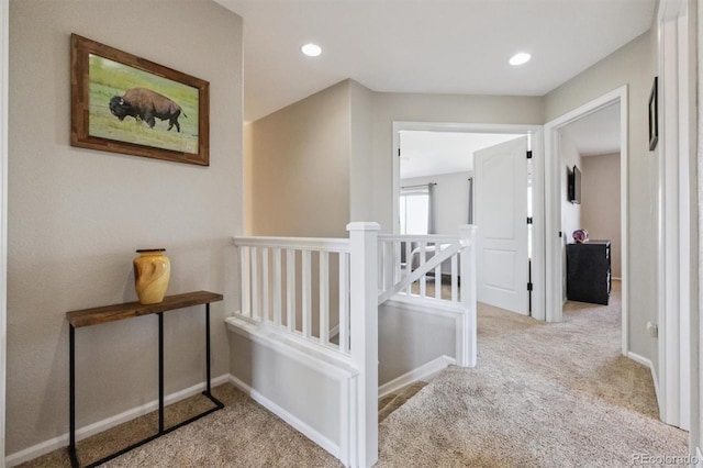 6837 Serena Ave, Castle Pines, CO 80108 - photo 9