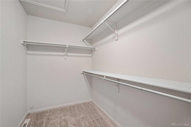 spacious closet with carpet flooring