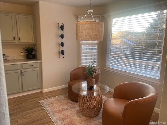 sitting room with a healthy amount of sunlight and light wood-type flooring