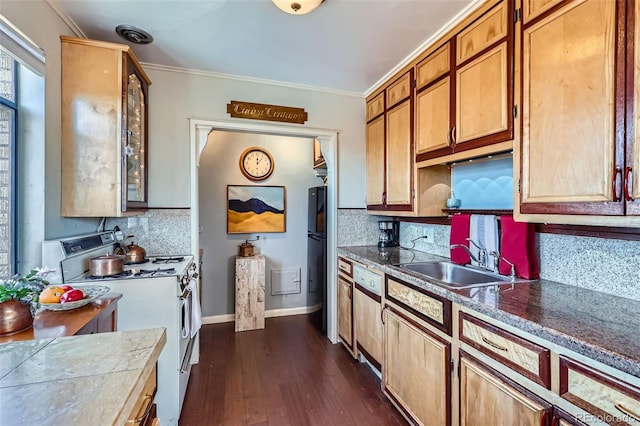 kitchen with a sink, backsplash, freestanding refrigerator, white gas range, and dark wood-style flooring