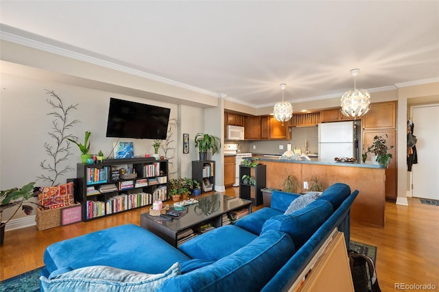 living room featuring ornamental molding and light hardwood / wood-style floors