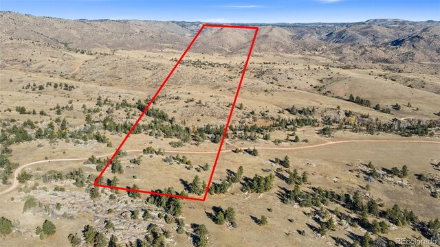 307 Brewster Ln, Livermore, CO 80536 - photo 4