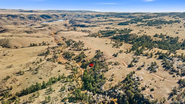 307 Brewster Ln, Livermore, CO 80536 - photo 6