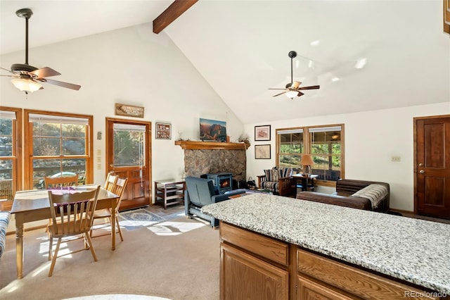 307 Brewster Ln, Livermore, CO 80536 - photo 19