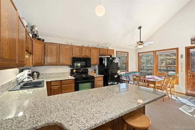 307 Brewster Ln, Livermore, CO 80536 - photo 20