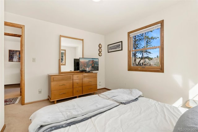 307 Brewster Ln, Livermore, CO 80536 - photo 24