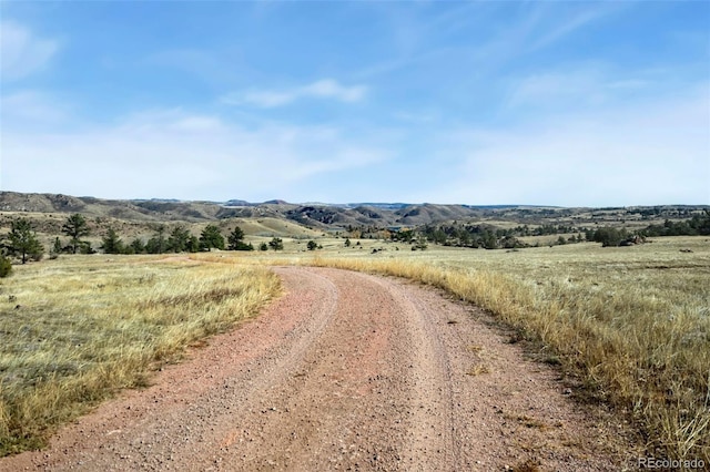 307 Brewster Ln, Livermore, CO 80536 - photo 38