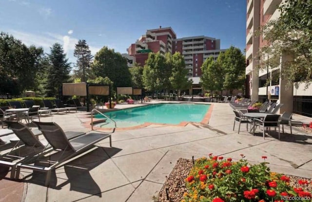 view of pool with a patio area