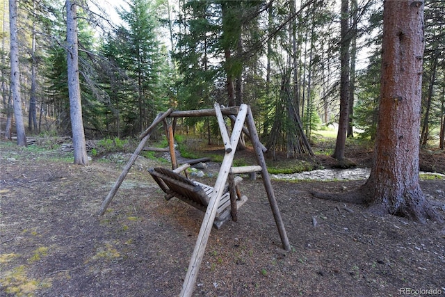 446 Blue River Rd, Breckenridge, CO 80424 - view of yard