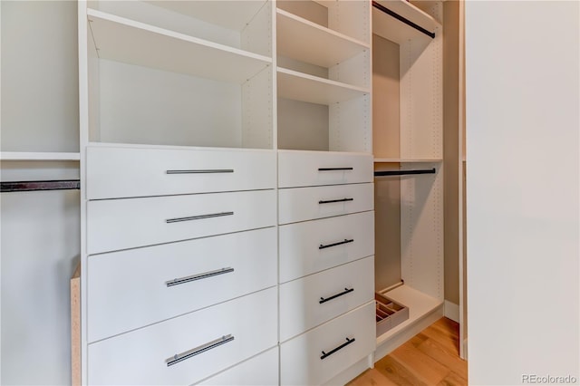 spacious closet featuring light hardwood / wood-style flooring