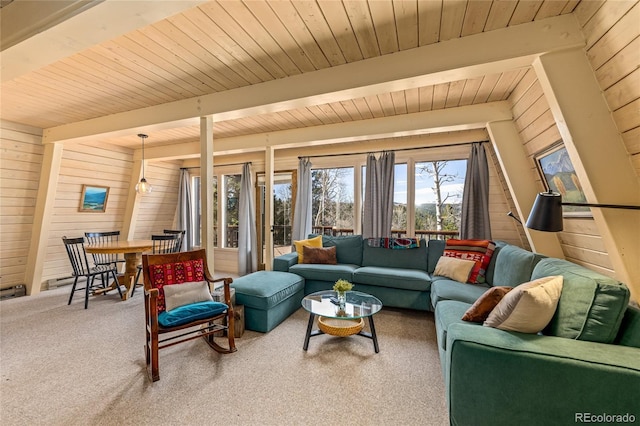 771 Spruce Rd, Cimarron, CO 81220 - carpeted living area featuring wood walls and wood ceiling