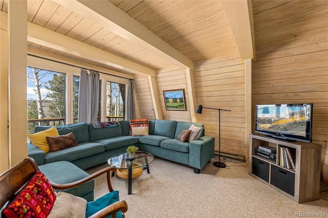 771 Spruce Rd, Cimarron, CO 81220 - living area featuring wood walls, carpet flooring, and a wooden ceiling with exposed beams