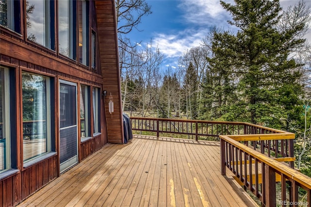 771 Spruce Rd, Cimarron, CO 81220 - view of wooden terrace