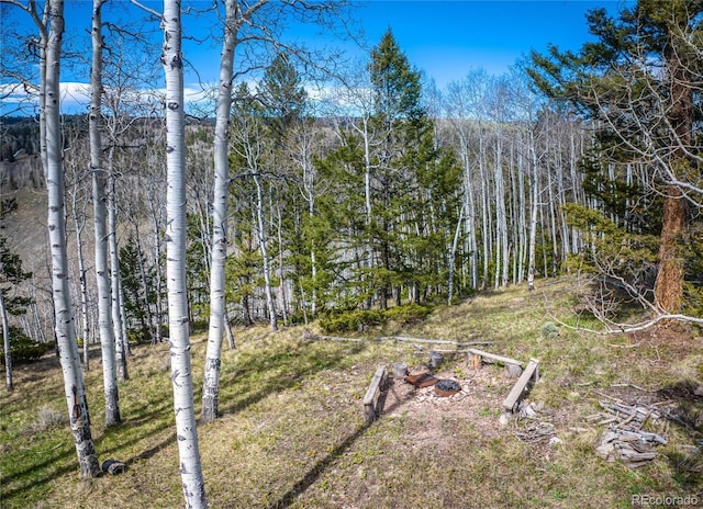 771 Spruce Rd, Cimarron, CO 81220 - view of yard with a forest view
