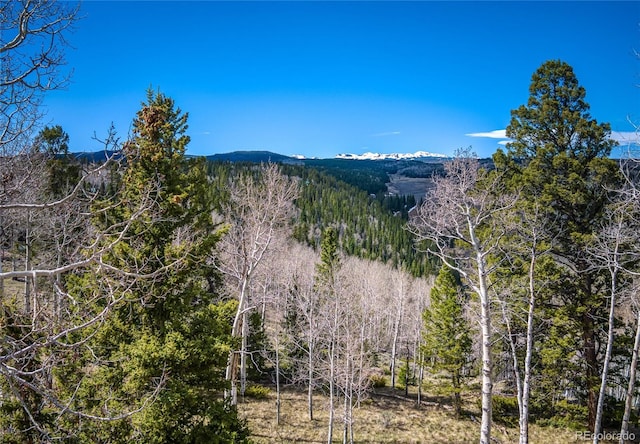 771 Spruce Rd, Cimarron, CO 81220 - view of mountain background with a forest