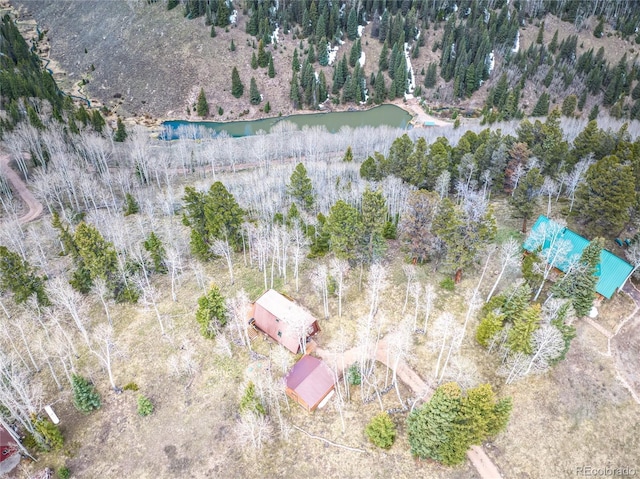 771 Spruce Rd, Cimarron, CO 81220 - aerial view of a large body of water