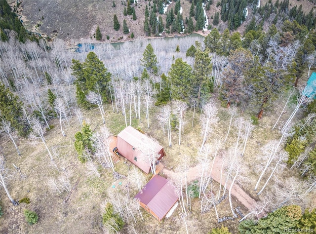 771 Spruce Rd, Cimarron, CO 81220 - aerial view of sparsely populated area