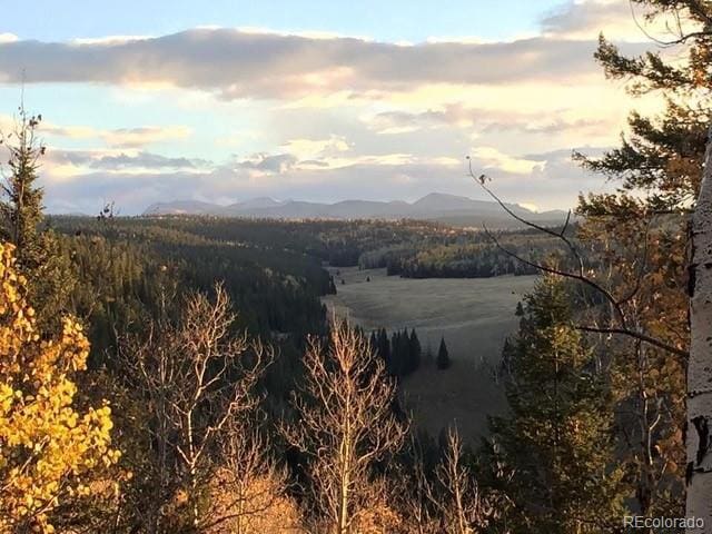 771 Spruce Rd, Cimarron, CO 81220 - view of mountain backdrop